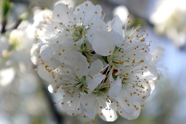 Element dřeva, jaro, ZdravíBaví