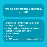 Cesta ke změně - ZINZINO