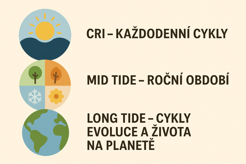 rytmy-kraniosakralni-biodynamika-priroda