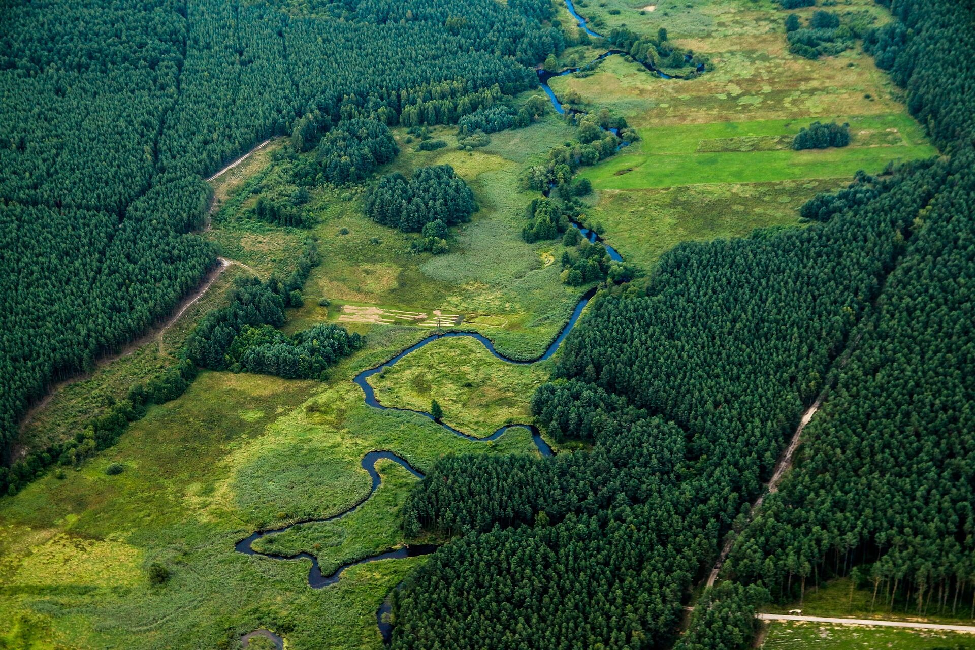 Meandrující řeka symbolizující proudění, rovnováhu a biodynamický přístup k člověku.